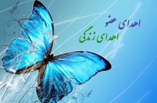 جایگاه دوم استان یزد در زمینه اهدای عضو