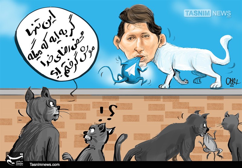 کاریکاتور/ گربه پاول دوروف !!!