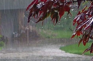 رشد ۴۳ درصدی بارش‌ها در استان یزد