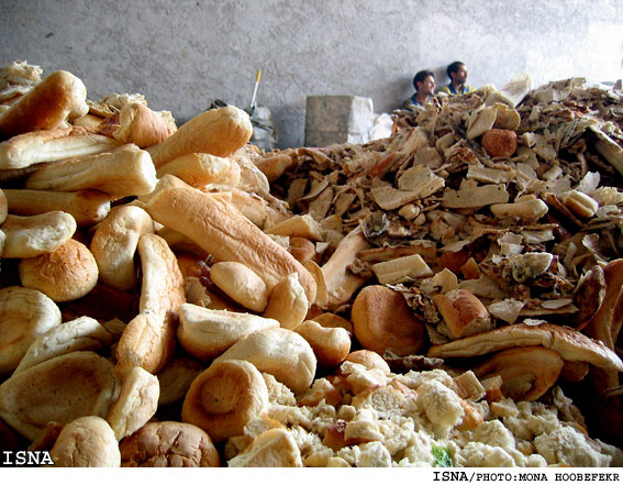 یزدی‌ها ۳۰ درصد از نان‌مصرفی خود را ضایع می‌کنند