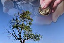 اهداء ۱۰۰ درخت پسته برای کمک به نیازمندان توسط کشاورزان میبدی