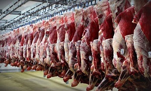 فروش گوشت بالای ۹۰ هزار تومان تخلف است