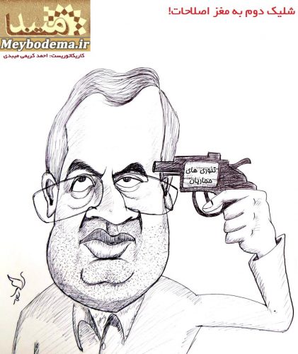 روایت کاریکاتوریست میبدی از شلیک دوم به مغز اصلاحات!