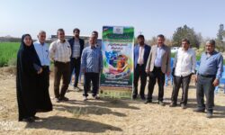 نهمین کاروان ترویجی بهره‌وری با محوریت الگوی کشت ملی و تغییر اقلیم در میبد برگزار شد