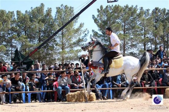 جشنواره-اسب-در-میبد-یزد-10