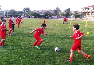 فعالیت ۲۷ مدرسه فوتبال و فوتسال بدون مجوز در یزد